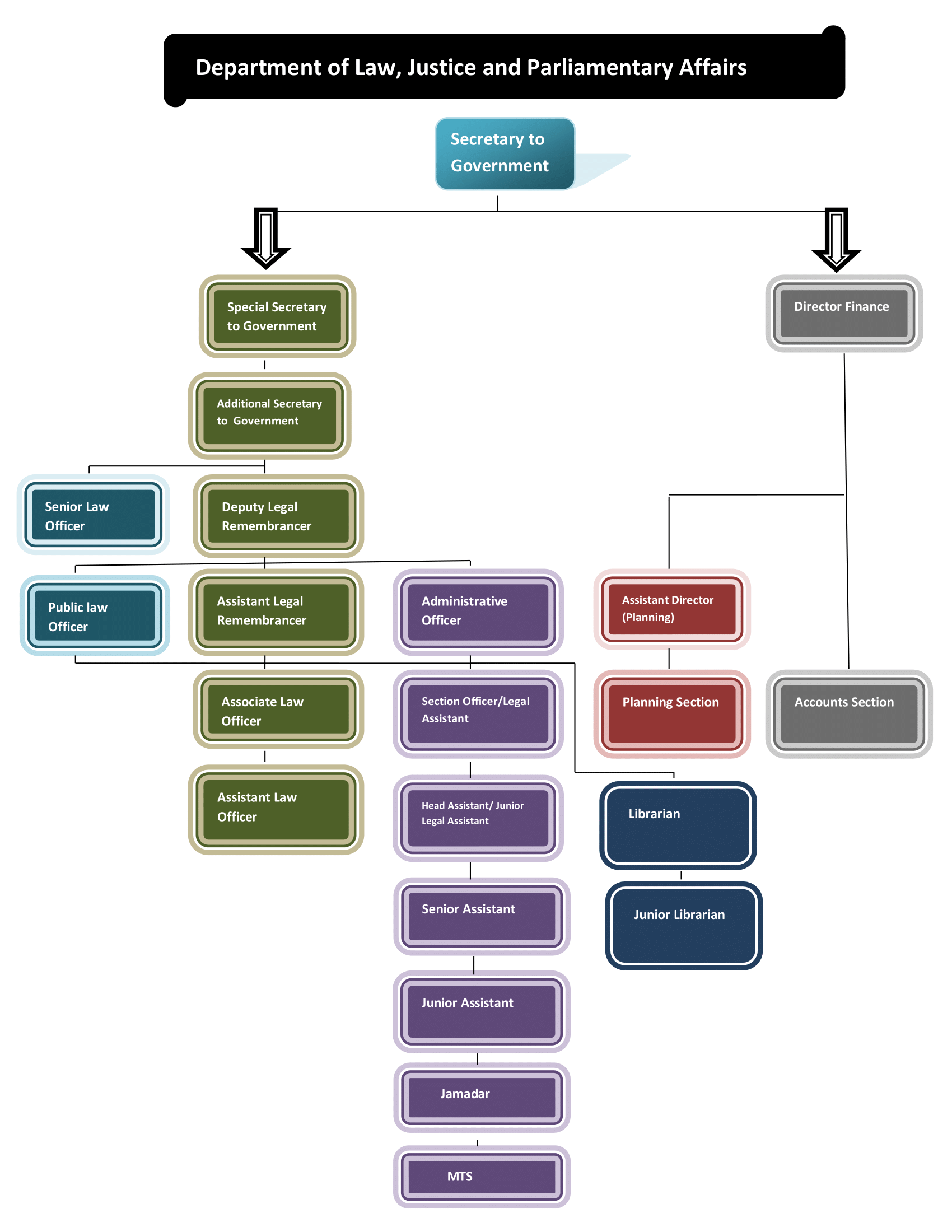 Organisation Struture